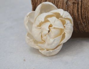 Peony Sola Wood Flower