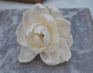 Peony Sola Wood Flower