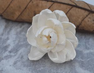 Peony Sola Wood Flower