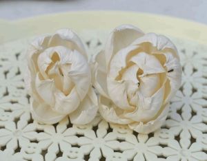 Peony Sola Wood Flower