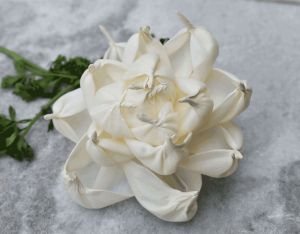 Posie Sola Wood Charming Flower