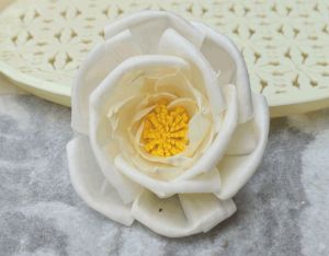 Pollen Bird Rose Sola Wood Flower