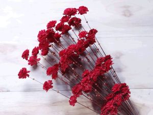 Red Coco Belle Moti Sola Wood Flower Stick