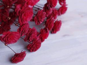 Red Coco Belle Moti Sola Wood Flower Stick