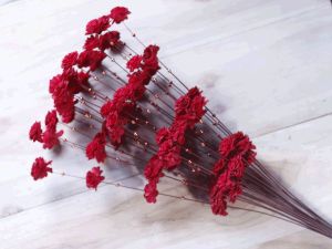 Red Coco Belle Moti Sola Wood Flower Stick