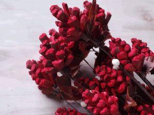 Red Pine Sola Wood Flower Stick