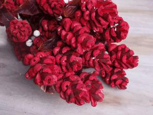 Red Pine Sola Wood Flower Stick