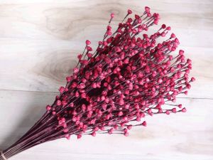 Red Sweet Buds Sola Wood Flower Stick