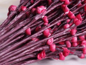 Red Sweet Buds Sola Wood Flower Stick