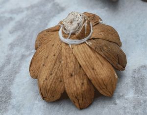 Seena Sola Wood Flower
