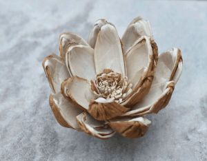 Seena Sola Wood Flower