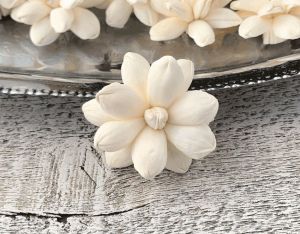 Shelia Sola Wood Flower