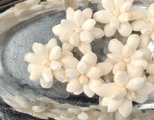 Shelia Sola Wood Flower