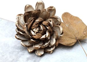 Skin Supernova Sola Wood Flower