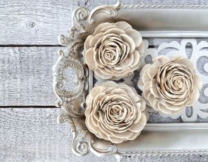 Skin Beauty Rose Sola Wood Flower