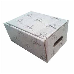 Duplex Corrugated Box