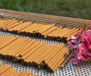 Bambooless Dhoop Sticks