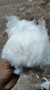 Recycled Polyester Fiber