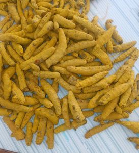 Turmeric Finger