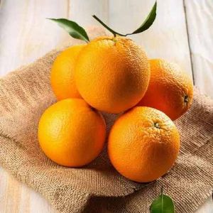 A Grade Assam Orange