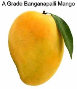 A Grade Banganapalli Mango