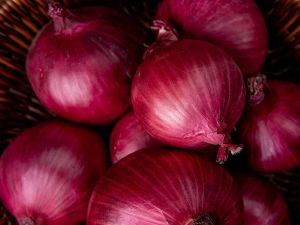 A Grade Fresh Red Onion