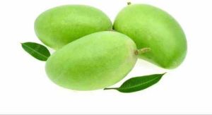 A Grade Green Raw Mango