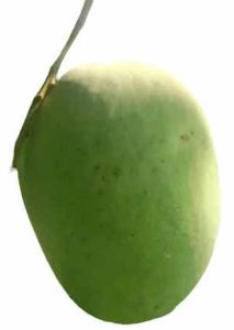 A Grade Langra Mango