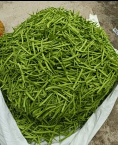 A Grade Cluster Bean