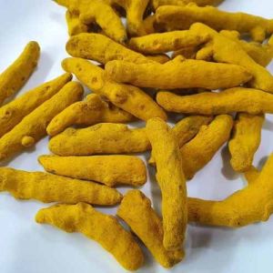 Cochin Finger Turmeric