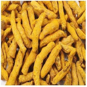 Madras Finger Turmeric