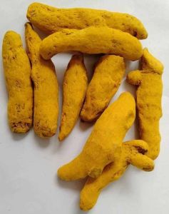 Nizamabad Finger Turmeric