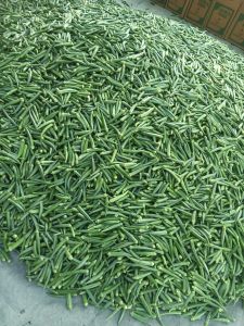 A Grade Fresh Okra