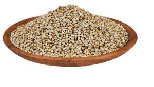 Organi Pearl Millet