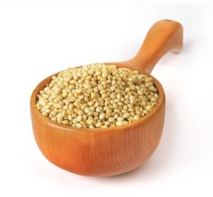 Organic Jowar Seed