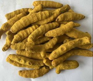 Pragati Finger Turmeric
