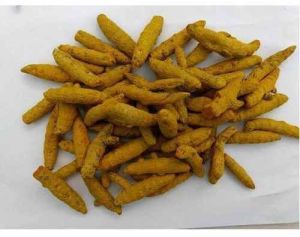 Salem Finger Turmeric