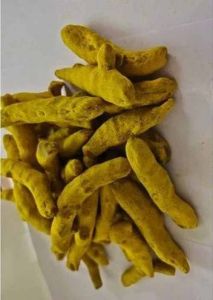 Suvarna Finger Turmeric