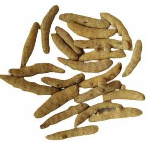 Tekurpeta Finger Turmeric