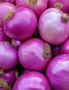 Premium Quality Fresh Red Onion