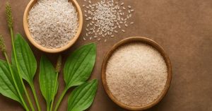 Premium Quality Isabgol Powder