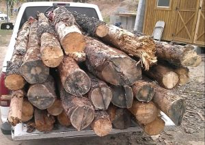 Papdi Wood Logs