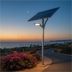 30W Designer Outdoor Solar LED Street Light
