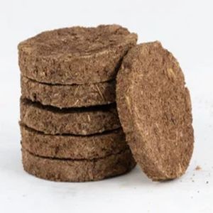 Cow Dung Cake