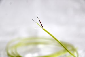 Insulated Thermocouple Cables