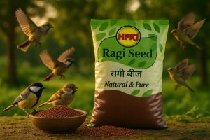 Birdie\'S 1kg Ragi Seeds