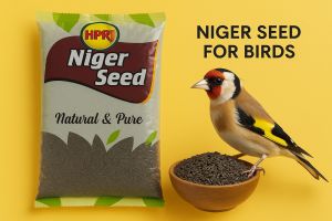 1kg Niger Seeds