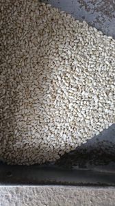 Hprj Safflower Seeds