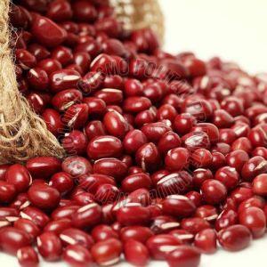 Adzuki Beans