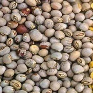 Pigeon Peas